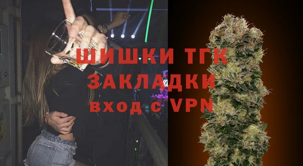 сатива Богданович